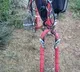Invisible bicycle wheel optical illusion that left netizens confused