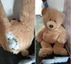 UK police catch wanted thief hiding in teddy bear