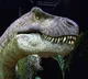Scientists say that the secret of the T Rex dinosaurs strength is its small eyes