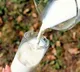 amul and mother dairy milk prices to rise by rs 2 from tomorrow