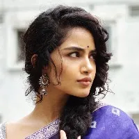 Karthikeya 2 movie success meet