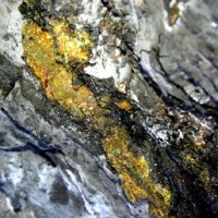 Centre to auction gold mines in Andhra Pradesh