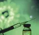 BCG vaccine for TB Protects Type 1 diabetics from Covid
