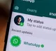 How to view someones WhatsApp Status without letting them know