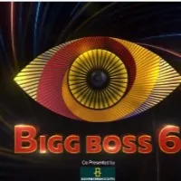 Contestants list of Bigg Boss Telugu Season 6
