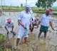 VV Lakshminarayana completes paddy plantation