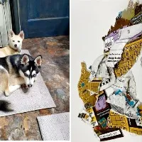Dogs eat winning lottery ticket