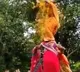 Age only a number Sena  tweets inspiring Dahi Handi video