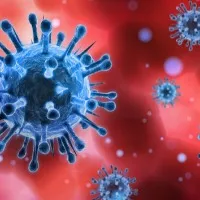 Corona Virus gradually reducing in India