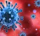 Corona Virus gradually reducing in India