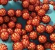 India reports 10 256 fresh COVID19 cases