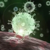 Telangana corona statistics