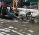 33 million affected 982 dead 6 lakh houses destroyed amid Pak floods