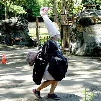 Zoo worker dons ostrich costume for escape drill