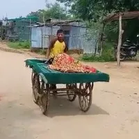 Man takes pregnant wife to hospital on push cart