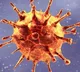 Corona virus spreading declines un Telangana