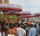 TTD warns devotees do not give offerings during umbrellas rally