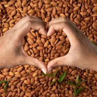 This Nutrition Month say yes to these heart-healthy foods