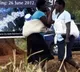 700 children dead in Zimbabwe due to measles outbreak