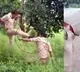 UP Police Cops Engaged In Physical Violence Video Goes Viral On Internet