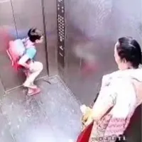 Woman fined Rs 5000 after pet dog bites child in lift