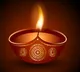 Delhi government bans fire crackers in Diwali season