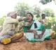 ys sjharmila takes mealwith agricultural labour