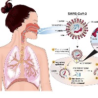 Zenara Pharma launches the first generic of Paxlovid for COVID-19 in India