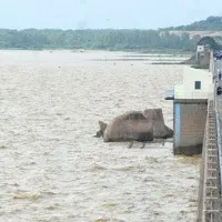 officials release water from osman sagar and himayat sagar
