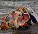 7 Drown In Haryana During Ganesh Idols Immersion Ceremony