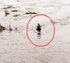 people trapped middle of the river in penuganchiprolu