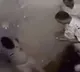 Bihar Police Officer Puts 5 Juniors In Lockup