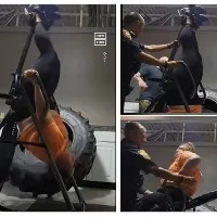 Woman gets stuck upside down in gym equipment