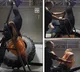 Woman gets stuck upside down in gym equipment