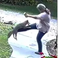 Woman getting attacked by a rabid fox