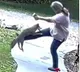 Woman getting attacked by a rabid fox