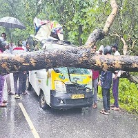 2 dead after tree falls on vehicle in Nirmal district
