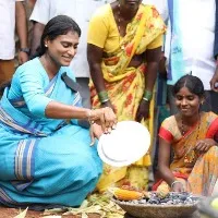 ys sharmila heats corn in devarakadra