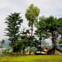 Longwa village residents enjoy dual citizenship of india and myanmar