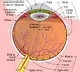 Take care of your eyes: Vision is a precious gift, so learn to love and cherish it