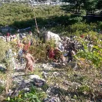 Eleven people dead as mini bus fallen into a gorge in Jammu Kashmir