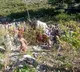 Eleven people dead as mini bus fallen into a gorge in Jammu Kashmir