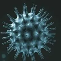 India corona updates