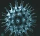 India corona updates