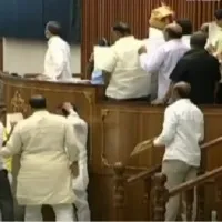 TDP MLAs create ruckus in AP Assembly, suspended for a day