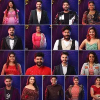 Bigg Boss season 6: Contestants who are being paid how much per week