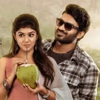 Nenu Meeku Baga Kavalsinavadini movie review