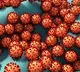 India logs 5664 infections today
