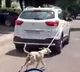 Video Shows Dog Tied To A Car Being Dragged In Jodhpur