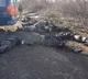 Russia is recruiting thieves and killers to fight war against Ukraine